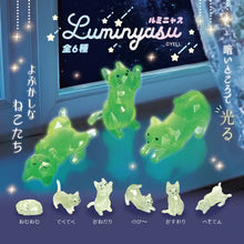 Yell Luminyasu: Glow In The Dark Cat Blind Box