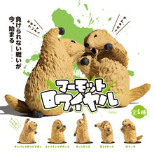 Yell Marmot Royal: Last Marmot Standing Blind Box
