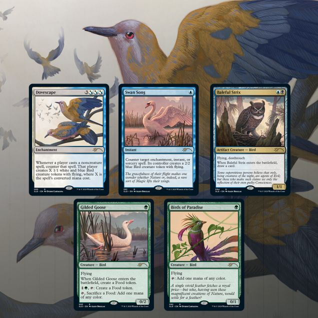 MTG Secret Lair Drop Series Ornithological Studies