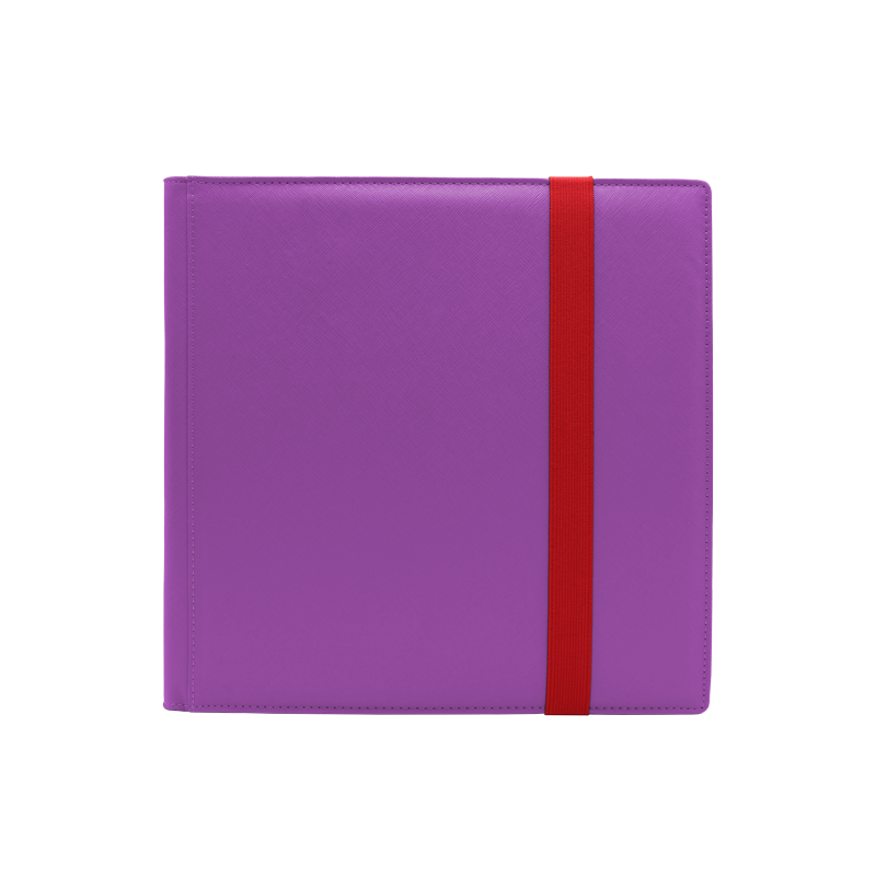 DEX Binder 12