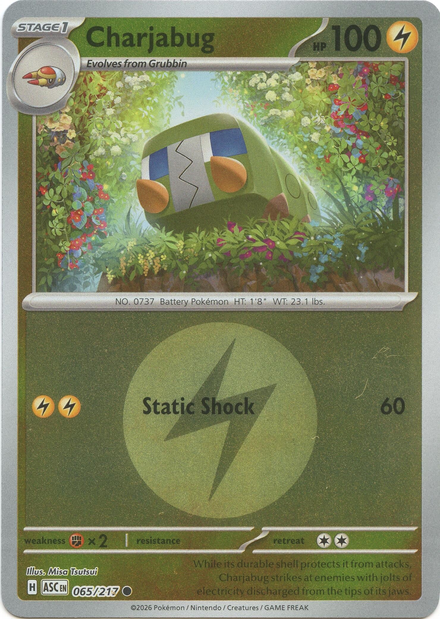 Image for Charjabug (Energy Symbol Pattern) (065/217) (ASC) - Pokemon