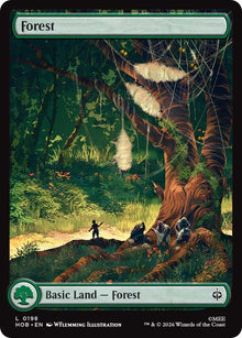 Image for Forest (0198) (198) (HOB) - Magic: The Gathering