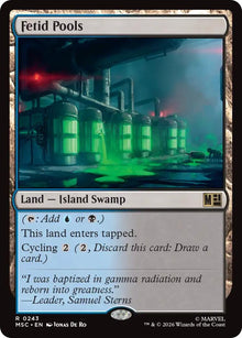 Image for Fetid Pools (243) (MSC) - Magic: The Gathering