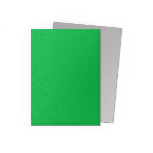 Dragon Shield Matte Dual Sleeves (Standard Size)