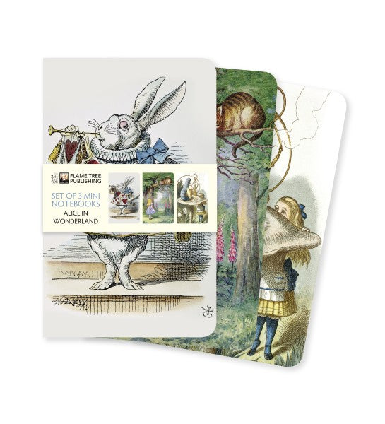Flame Tree Publishing Alice's Adventures in Wonderland Set of 3 Mini Notebooks