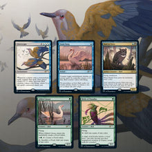 MTG Secret Lair Drop Series Ornithological Studies