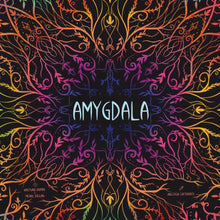 Amygdala  - [CLEARANCE]