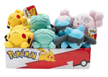 Pokemon Sleeping Plush