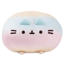 11" Pusheen Round Squisheen Rainbow