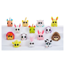 Springlings Surprise